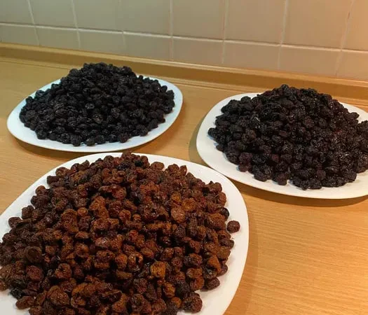 Сушена ягода жовтої черешні, вишні, яблука - фото № 1