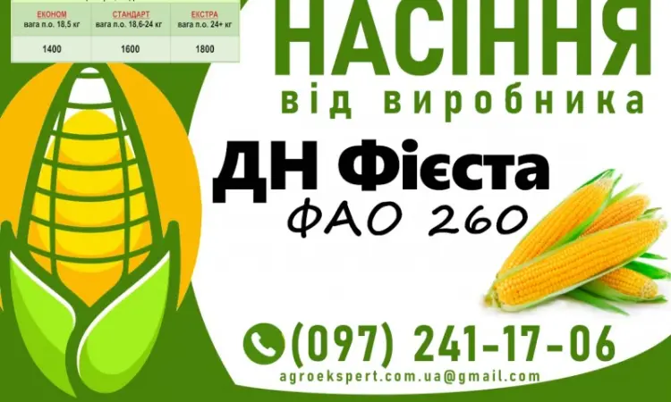 Насіння кукурудзи 2025 – гібрид ДН Фієста (ФАО 260) от производителя - фото № 1