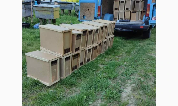 Продаются пчелопакеты с доставкой по Украине с 22 апреля - фото № 1