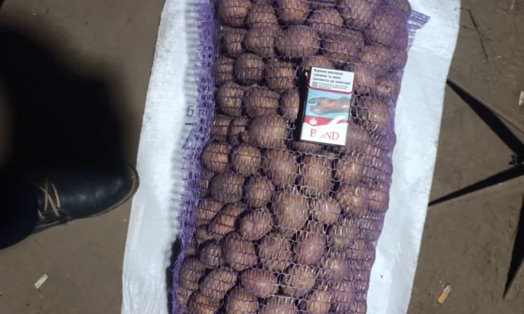 Продажа качественной посадочной картошки - фото № 2