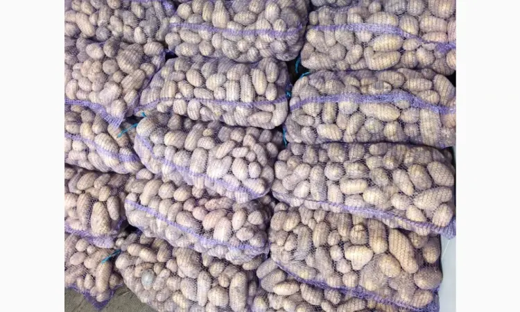 Продам семенной картофель Гранада ll - репродукции - фото № 2