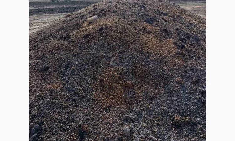 Продается зіпсованная кукуруза - фото № 4