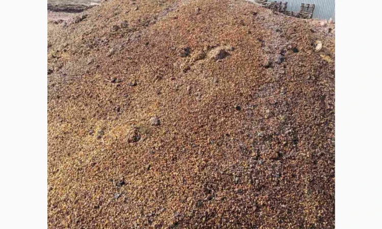 Продается кукурузные зерновые отходы для топлива - фото № 1