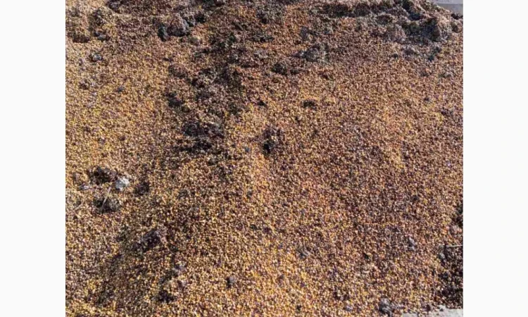 Продается кукурузные зерновые отходы для топлива - фото № 2