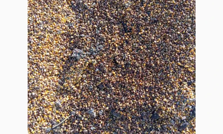 Продается кукурузные зерновые отходы для топлива - фото № 3