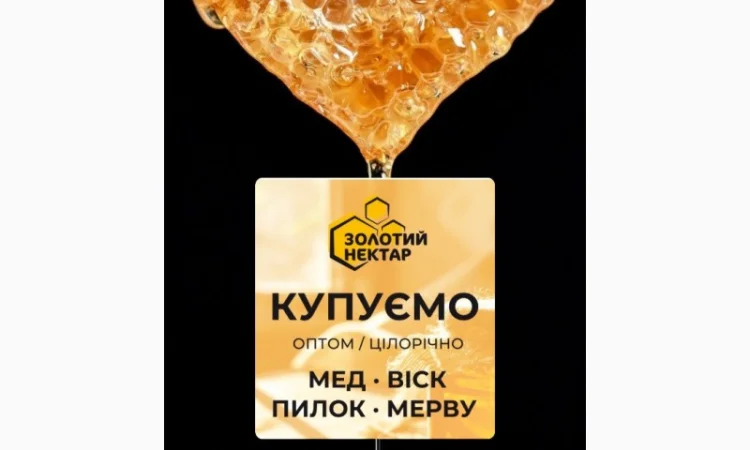 Закупка натурального меда оптом - фото № 1