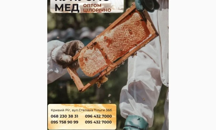 Оптовая закупка натурального меда - фото № 1