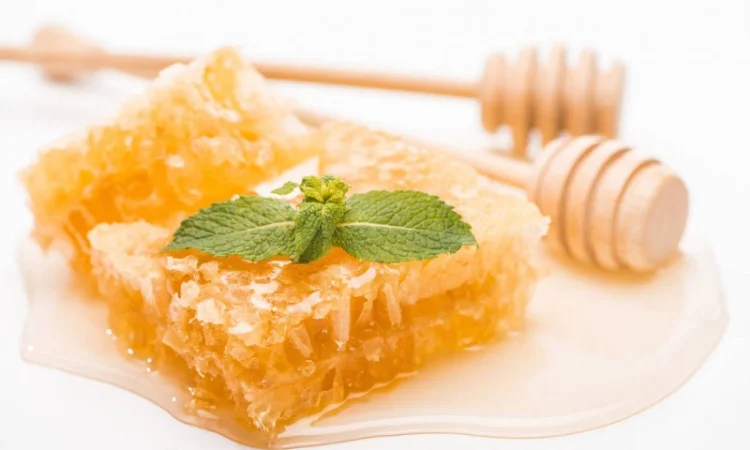 Закупка меда без антибиотиков - фото № 1