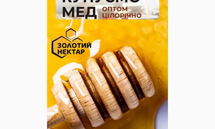Покупаем Липовый мед - фото № 1