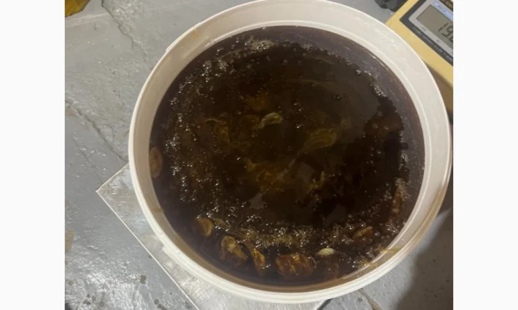 Пропонується гречаний мед урожаю 2025 року - фото № 1