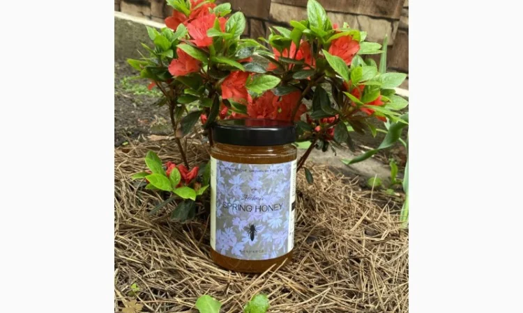 Продается весенний и летний мед - фото № 1