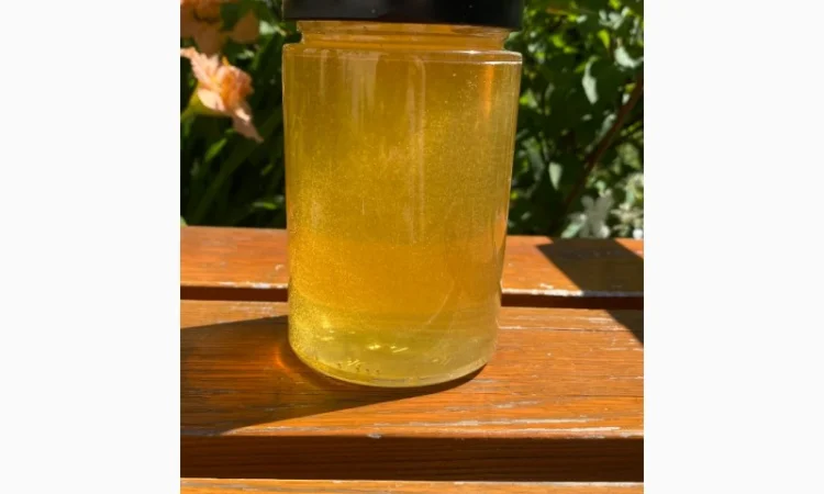 Продается мед и продукты пчеловодства с собственной пасеки - фото № 1