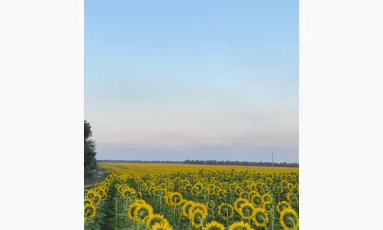 Продается мед и продукты пчеловодства с собственной пасеки - фото № 3