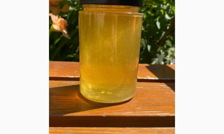 Продается мед белой акации - фото № 1