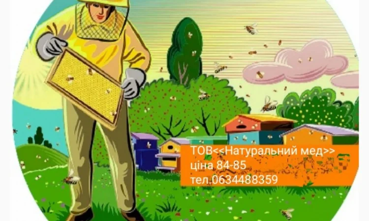 Закупка натурального меда - фото № 1