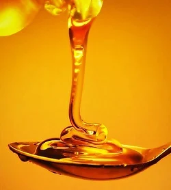 Закупівля меду оптом по 100 грн за 1 кг - фото № 1