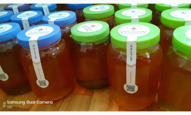 Мед різнотрав'я з власної пасіки - фото № 2