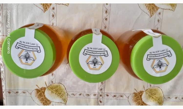 Мед різнотрав'я з власної пасіки - фото № 3