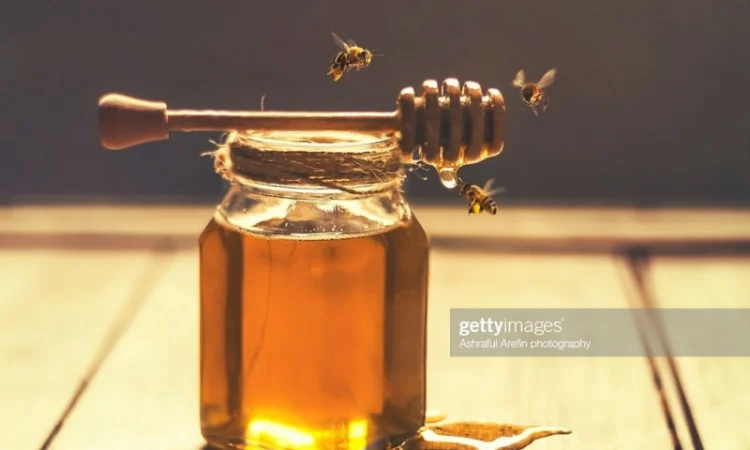 Куплю мед без антибіотиків оптом в Черкассах - фото № 1