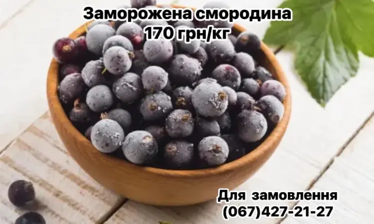 Продам замороженную смородину - фото № 2