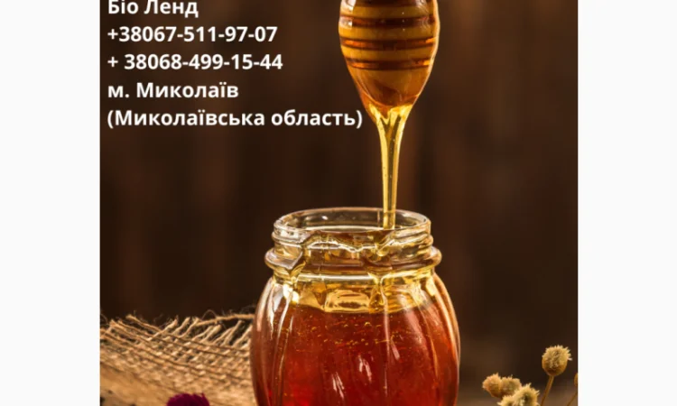 Закупаем мед оптом - фото № 1