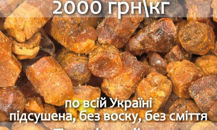 Куплю пергу оптом по всей Украине - фото № 1