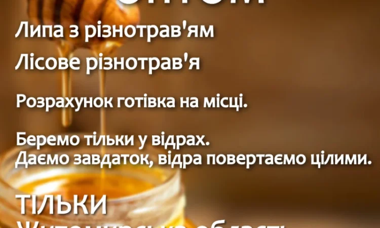 Купую мед оптом - фото № 1