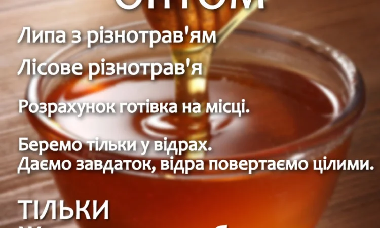 Куплю мед оптом в Житомире - фото № 1