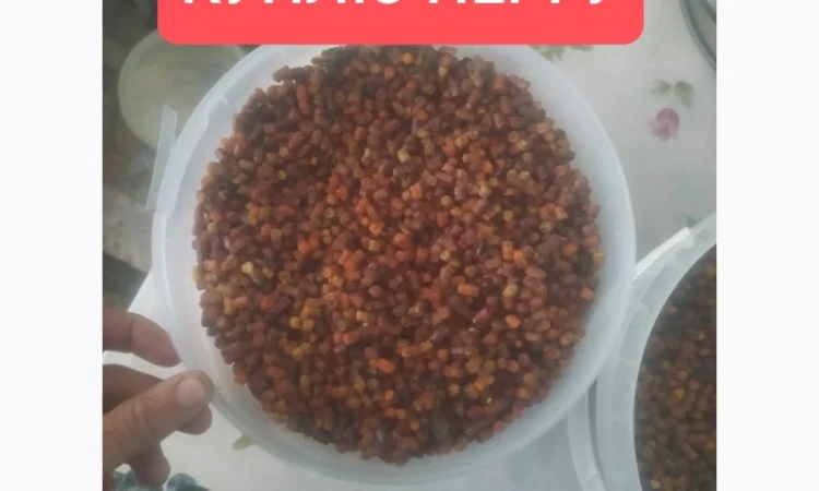 Закупка перги оптом - фото № 1