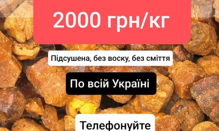 Купую пергу 2000 грн/кг - фото № 1