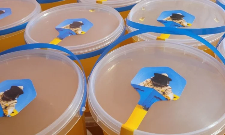 Мед 2025 року, різнотравʼя з соняшником - фото № 1