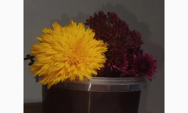 Пропонується гречаний мед - фото № 1