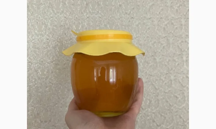 Мед 2025: різнотрав'я, акація, липа, садові рослини та соняшник - фото № 1