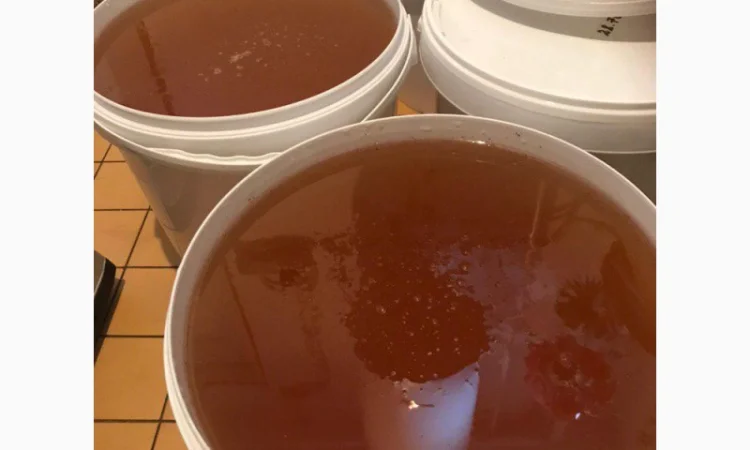 Мед 2025: різнотрав'я, акація, липа, садові рослини та соняшник - фото № 2