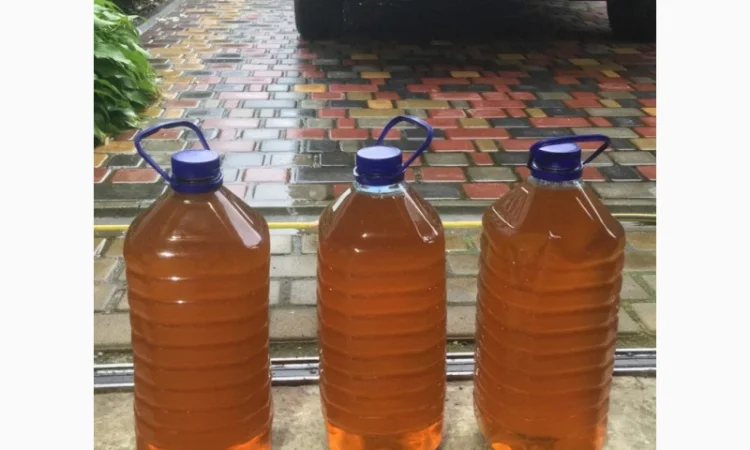 Мед 2025: різнотрав'я, акація, липа, садові рослини та соняшник - фото № 3