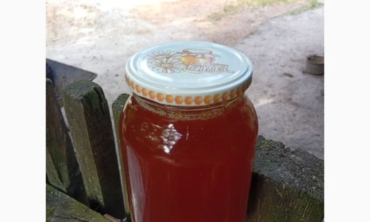 Пропонується липовий мед урожаю 2025 року - фото № 1