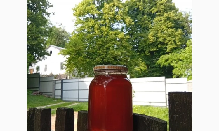 Пропонується липовий мед урожаю 2025 року - фото № 2