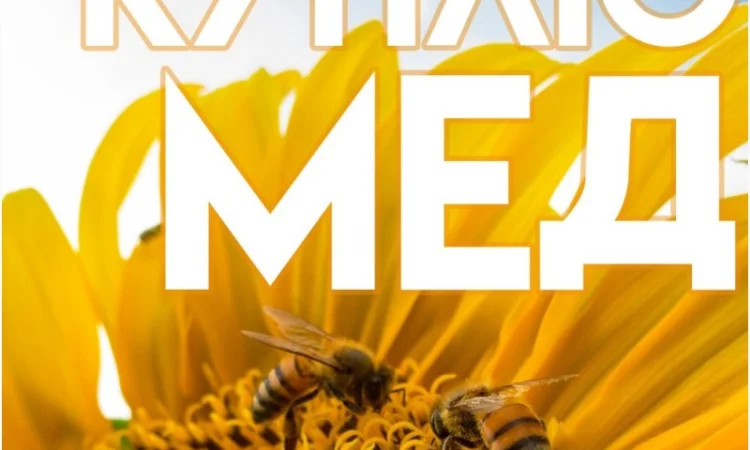 Куплю мед оптом в Кропивницком - фото № 1