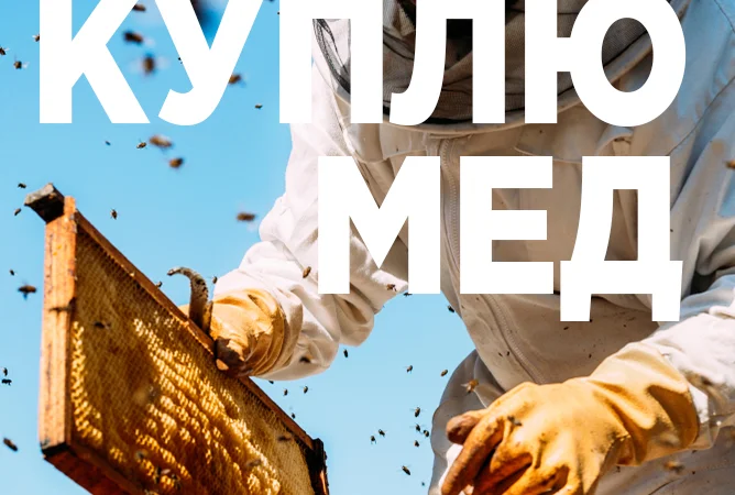 Куплю мед оптом в Черкассах - фото № 1