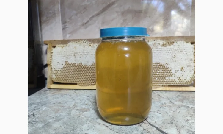 Куплю мед из подсолнечника - фото № 1