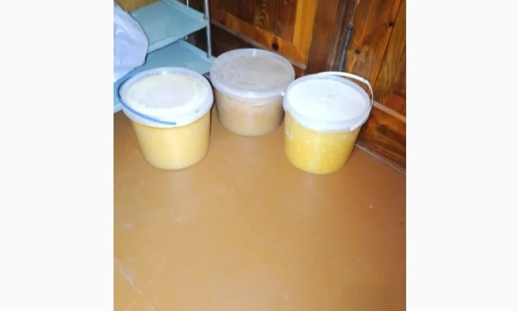 Пропонується мед 2024 року - фото № 1