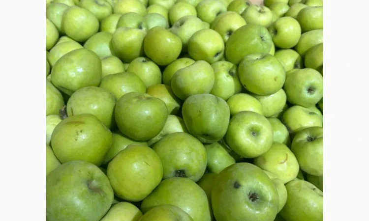 Продаются яблоки различных сортов из холодильника - фото № 2