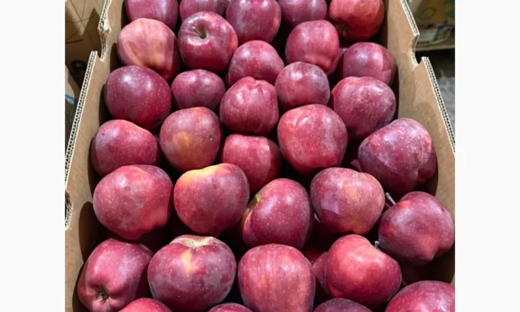Продаются яблоки различных сортов из холодильника - фото № 3