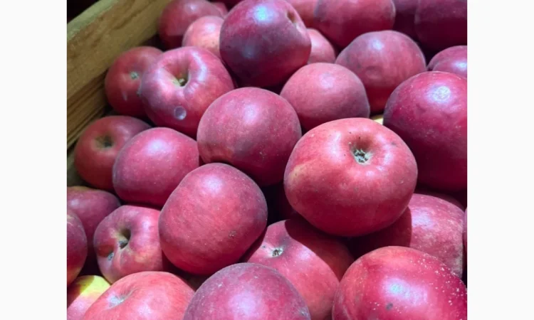 Продаю яблоки различных сортов - фото № 9