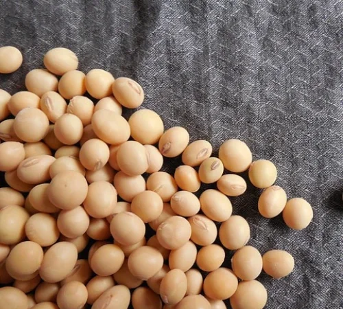 Куплю сою ГМО от 100 тонн в Тернополе - фото № 1