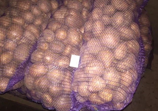 Продам картоплю - фото № 1