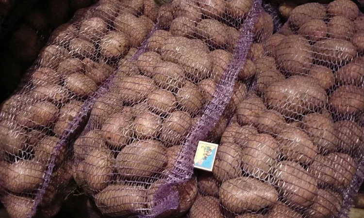 Продам товарну картоплю - фото № 1