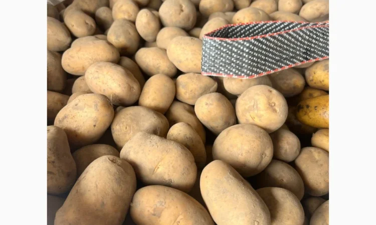 Продам картоплю товарну з Польщі - фото № 1