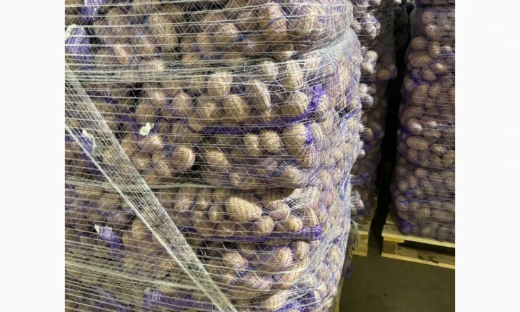 Продам картоплю товарну з Польщі - фото № 2