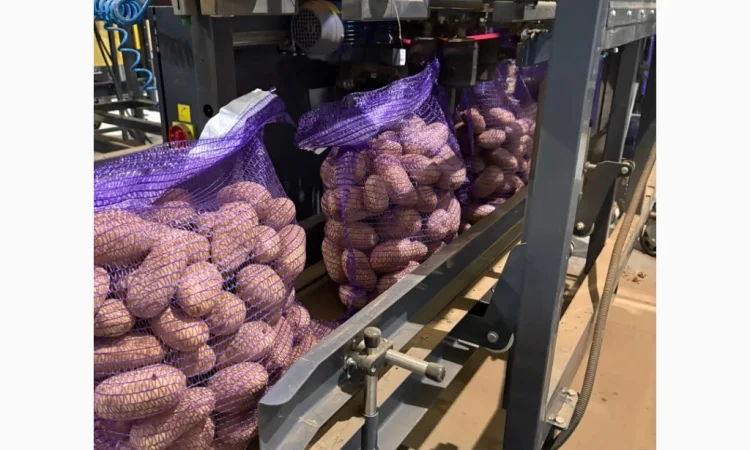 Продам картоплю товарну з Польщі - фото № 3